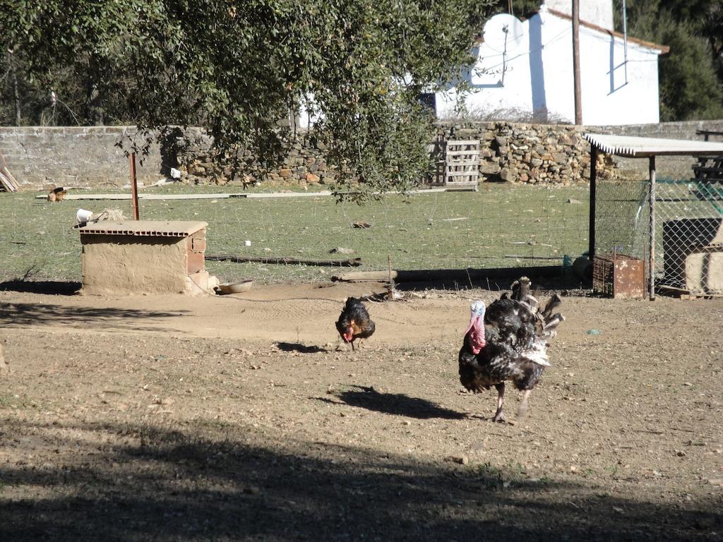 Casa Rural Sierra San Mamede La Codosera Eksteriør bilde
