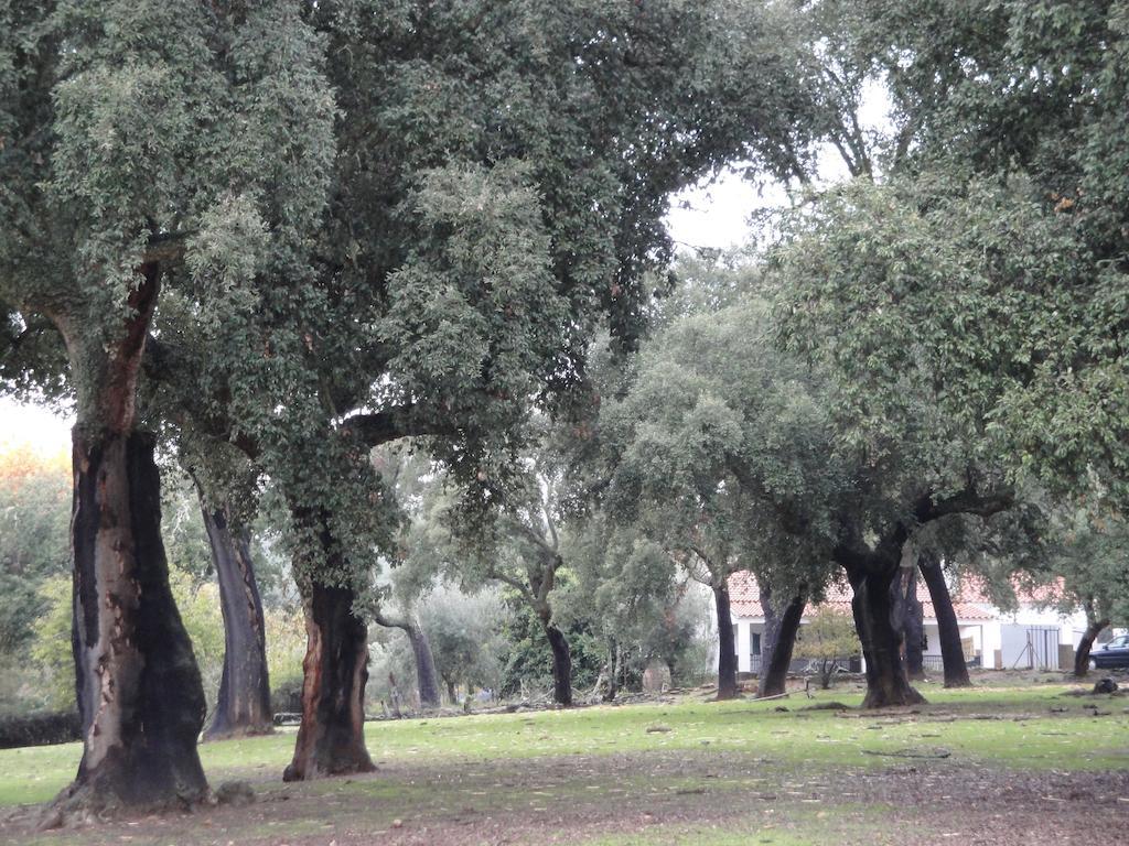 Casa Rural Sierra San Mamede La Codosera Eksteriør bilde