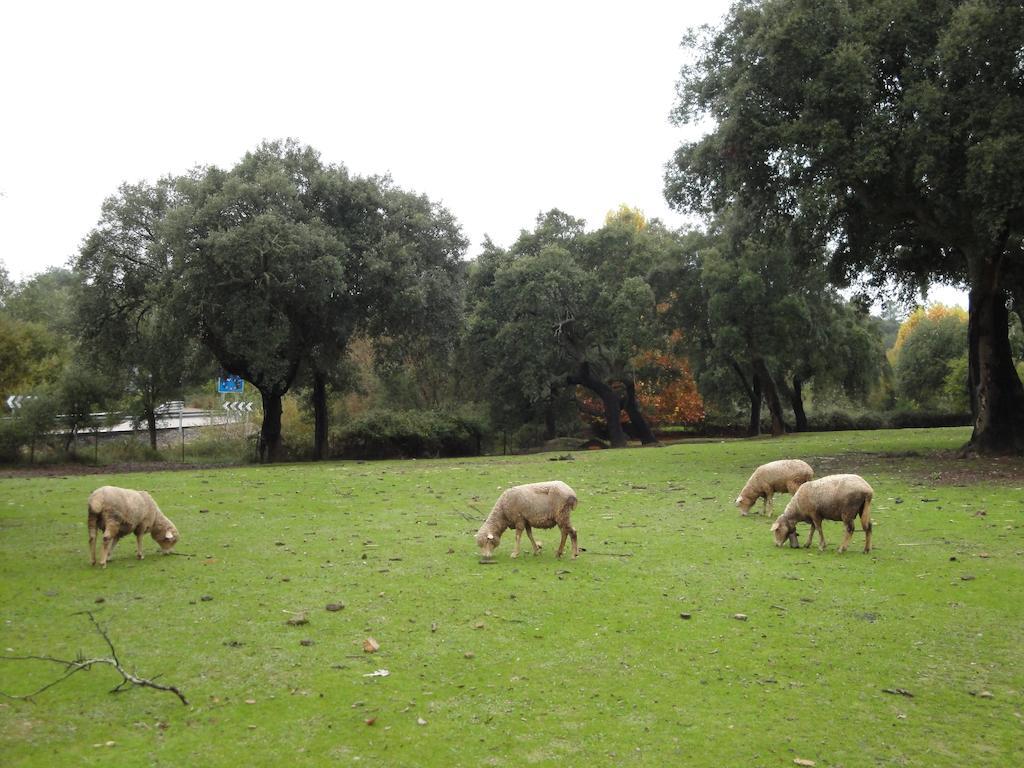 Casa Rural Sierra San Mamede La Codosera Eksteriør bilde